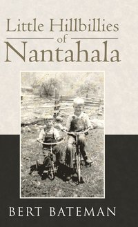 bokomslag Little Hillbillies of Nantahala