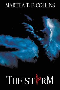 bokomslag Storm