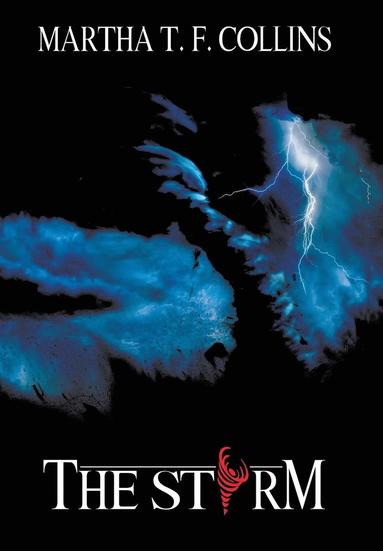 bokomslag Storm