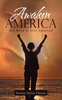 bokomslag Awaken America