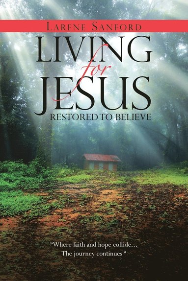 bokomslag Living for Jesus