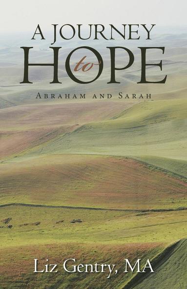 bokomslag Journey to Hope