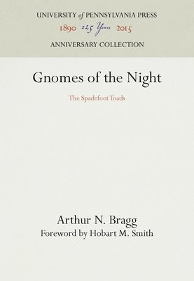 bokomslag Gnomes of the Night