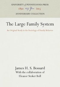 bokomslag The Large Family System