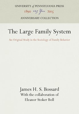 bokomslag The Large Family System