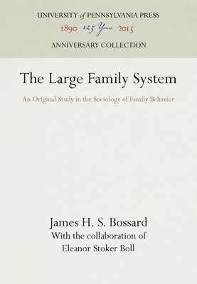 Large Family System 1
