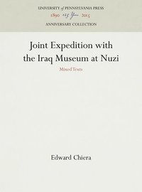 bokomslag Joint Expedition with the Iraq Museum at Nuzi