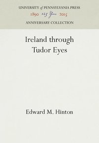 bokomslag Ireland through Tudor Eyes