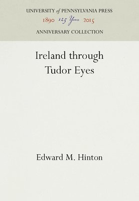 bokomslag Ireland through Tudor Eyes