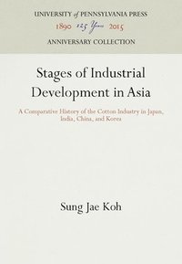 bokomslag Stages of Industrial Development in Asia