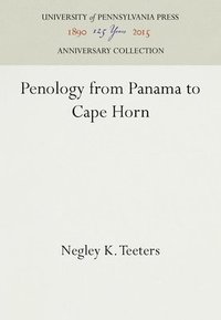 bokomslag Penology from Panama to Cape Horn
