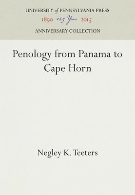 bokomslag Penology from Panama to Cape Horn