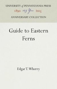 bokomslag Guide to Eastern Ferns