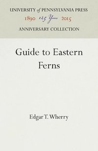 bokomslag Guide to Eastern Ferns