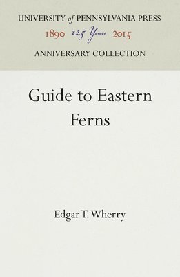 bokomslag Guide to Eastern Ferns