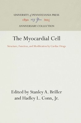bokomslag Myocardial Cell