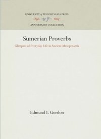 bokomslag Sumerian Proverbs