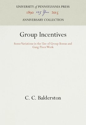 bokomslag Group Incentives