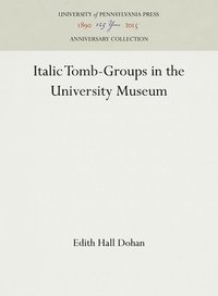 bokomslag Italic Tomb-Groups in the University Museum