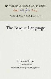 bokomslag The Basque Language
