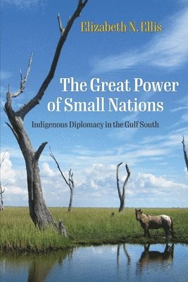 Elizabeth N. Ellis, Elizabeth N Ellis - Great Power of Small Nations, Inbunden