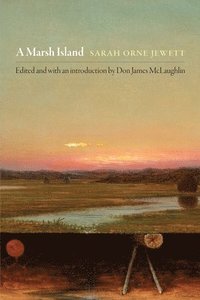 bokomslag A Marsh Island