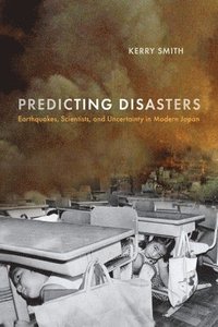 bokomslag Predicting Disasters