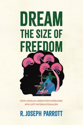 bokomslag Dream the Size of Freedom