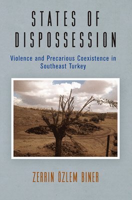 bokomslag States of Dispossession: Violence and Precarious Coexistence in Southeast Turkey