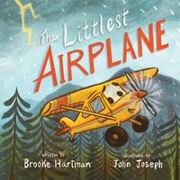 bokomslag The Littlest Airplane