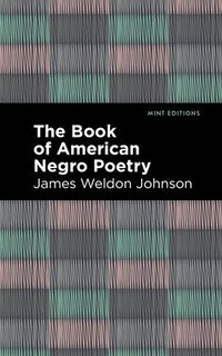 bokomslag The Book of American Negro Poetry