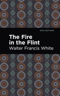 bokomslag The Fire in the Flint