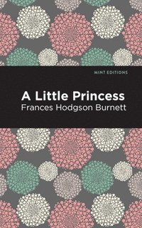 bokomslag Little Princess