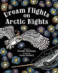 bokomslag Dream Flights on Arctic Nights