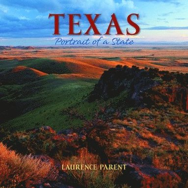 bokomslag Texas