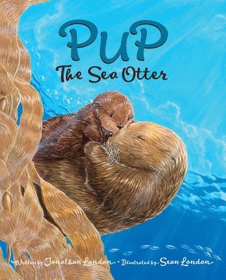 Pup the Sea Otter 1