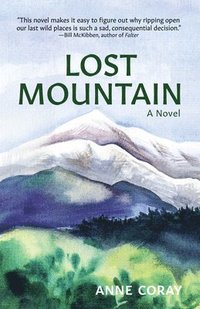 bokomslag Lost Mountain