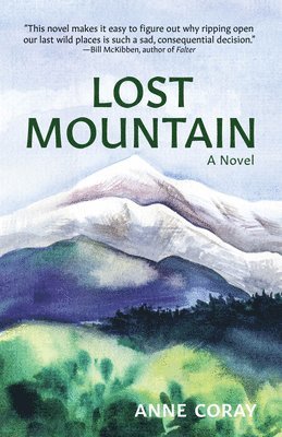 Anne Coray - Lost Mountain, Inbunden