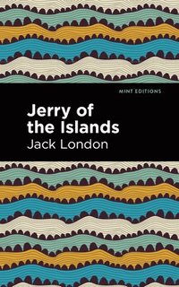 bokomslag Jerry of the Islands