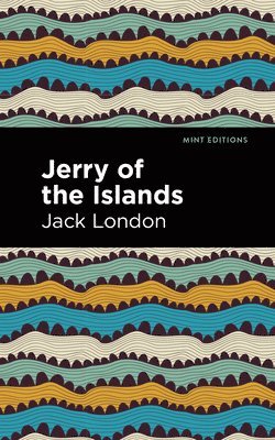 bokomslag Jerry of the Islands