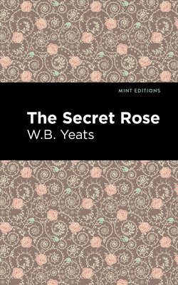 bokomslag Secret Rose