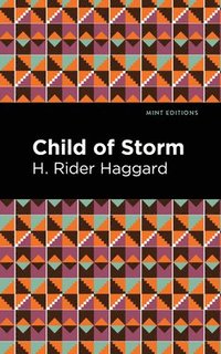 bokomslag Child of Storm