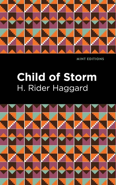 bokomslag Child of Storm