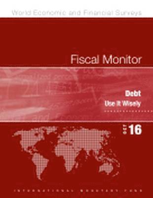 bokomslag Fiscal monitor