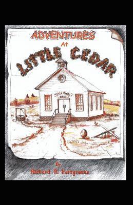 bokomslag Book: Adventures At Little Cedar