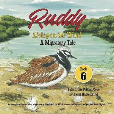 bokomslag Ruddy: Living on the Wind: A Migratory Tale