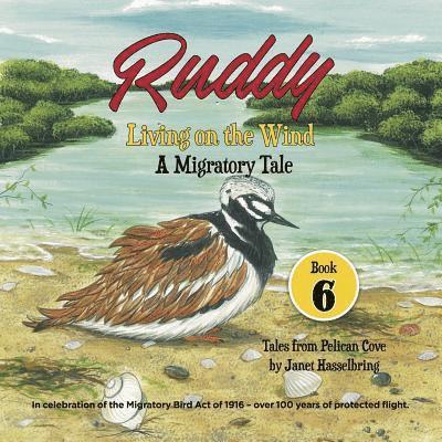 Ruddy: Living on the Wind: A Migratory Tale 1