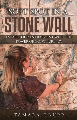 Soft Spot in a Stone Wall: Escape Your Entrapment with the Power of God's Pure Joy 1