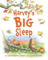 bokomslag Harvey's BIG Sleep