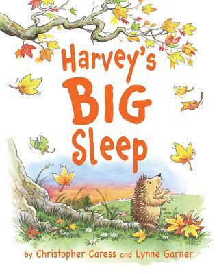 Harvey's BIG Sleep 1